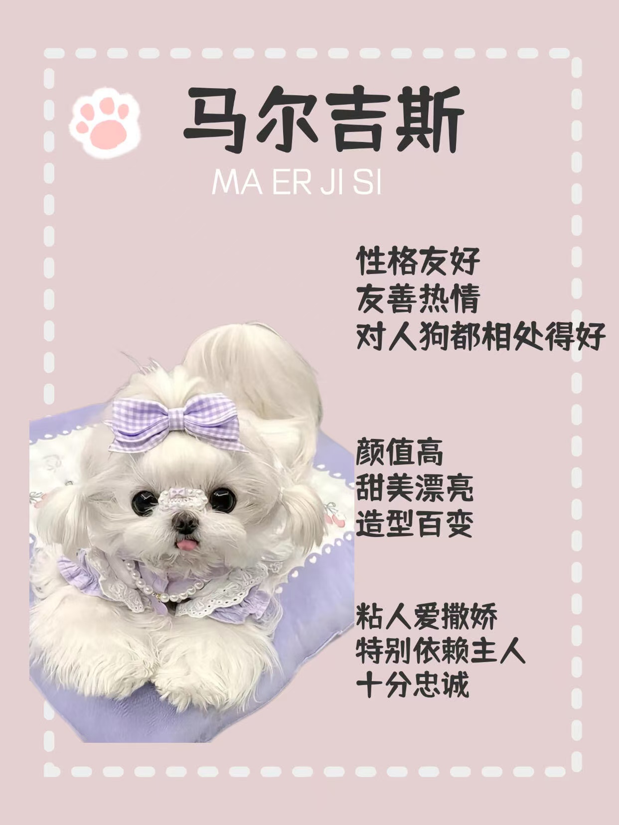 马尔济斯
