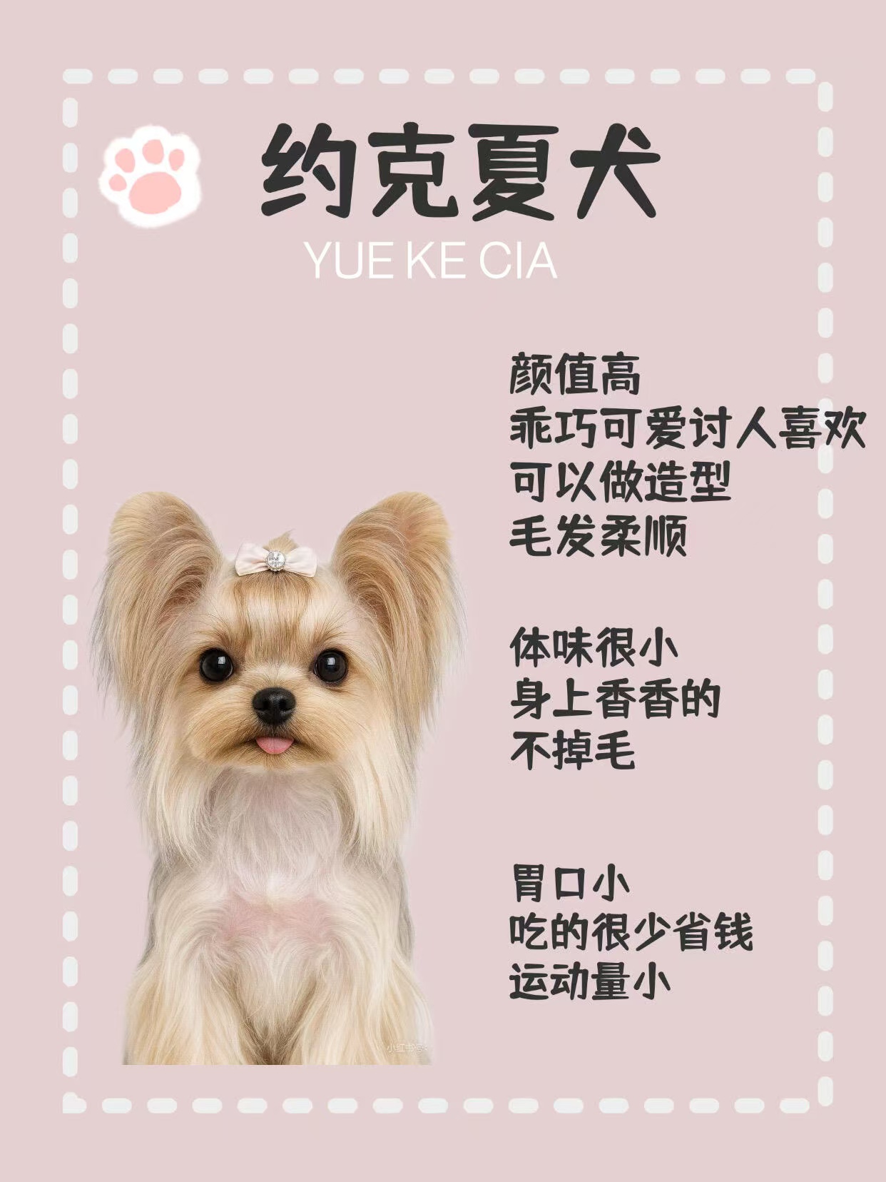 约克夏