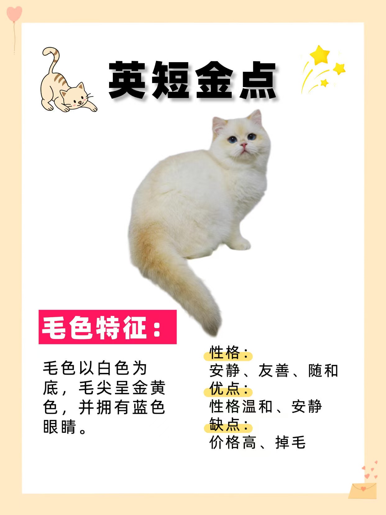 金点