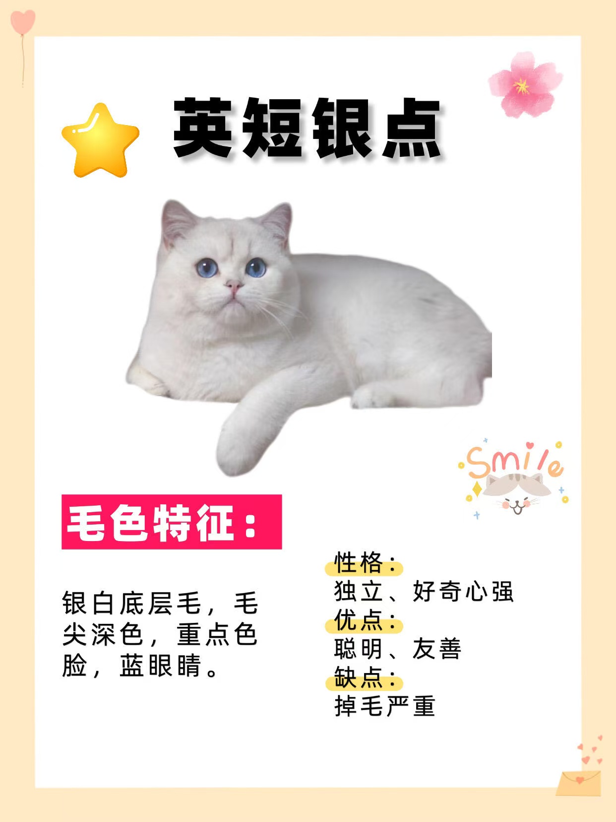 英短银点
